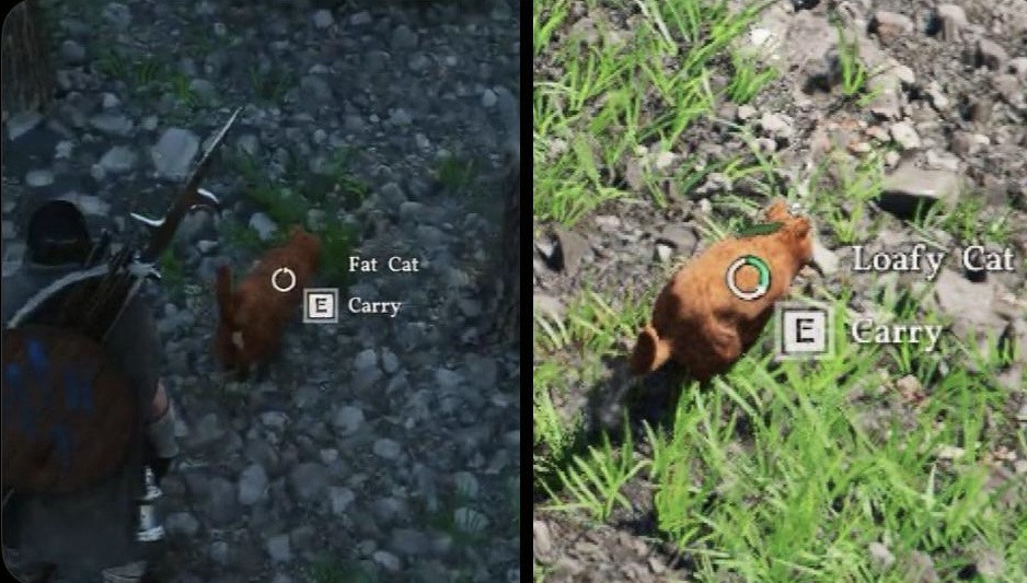 The cat entry in the journal